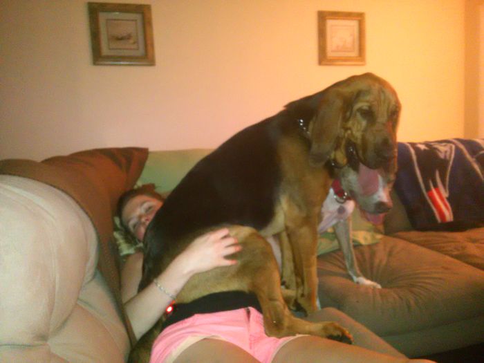 Dogs Can Be Assholes, Too Dogs Can Be Assholes, Too