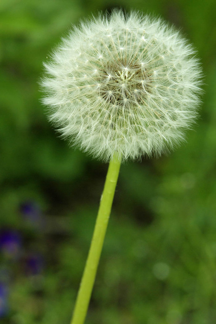 Dogs Can Be Assholes, Too Dogs Can Be Assholes, Too