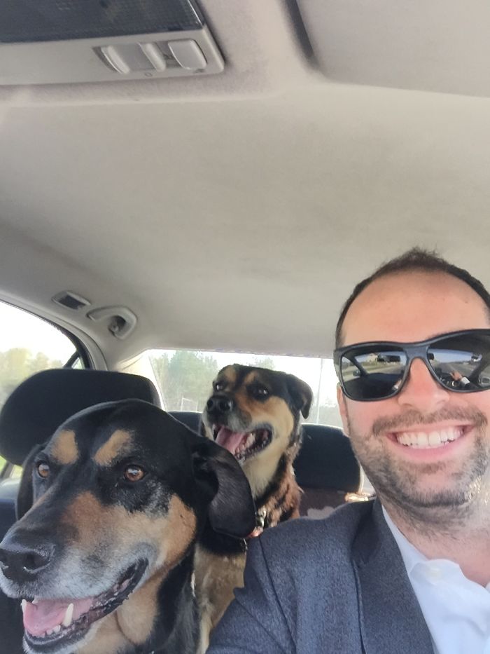 68 Funny Dogs That Love Car Rides More Than Anything