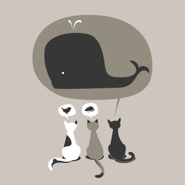 The Amazing Cats: I Illustrate The Secret Lives Of Cats