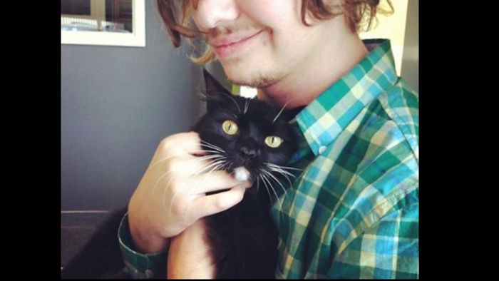 61 Cats Who Just Realized You Took Them To The Vet