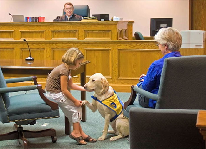 It&#8217;s Scary To Testify In Front Of Your Attacker In Court, But These Dogs Make It Easier