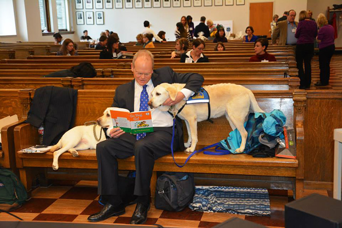 It&#8217;s Scary To Testify In Front Of Your Attacker In Court, But These Dogs Make It Easier