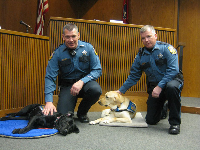 It&#8217;s Scary To Testify In Front Of Your Attacker In Court, But These Dogs Make It Easier