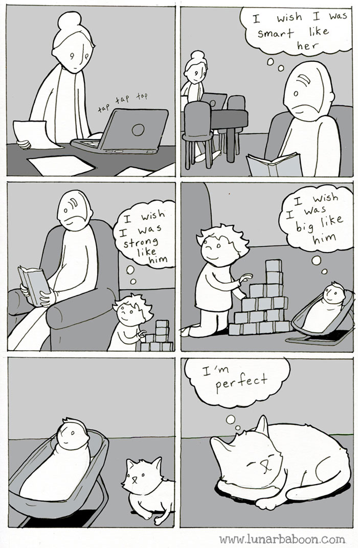 Life With Cats By Lunarbaboon (18 Comics)