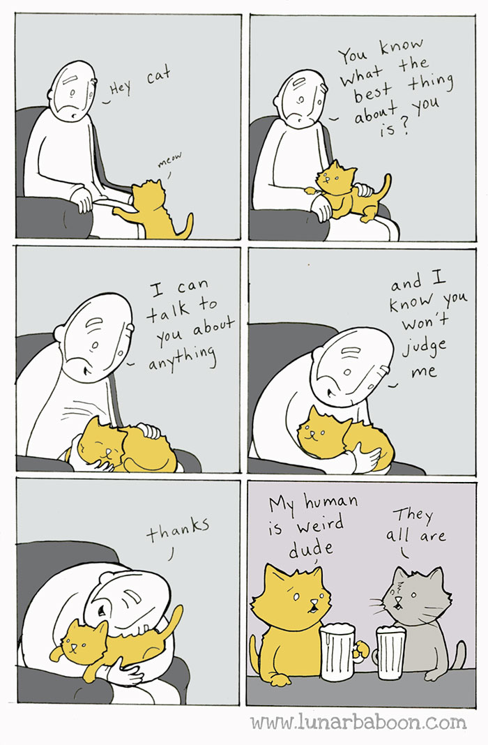 Life With Cats By Lunarbaboon (18 Comics)