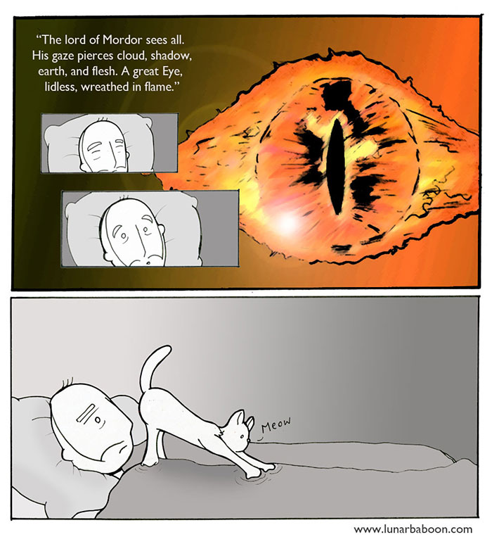 Life With Cats By Lunarbaboon (18 Comics)