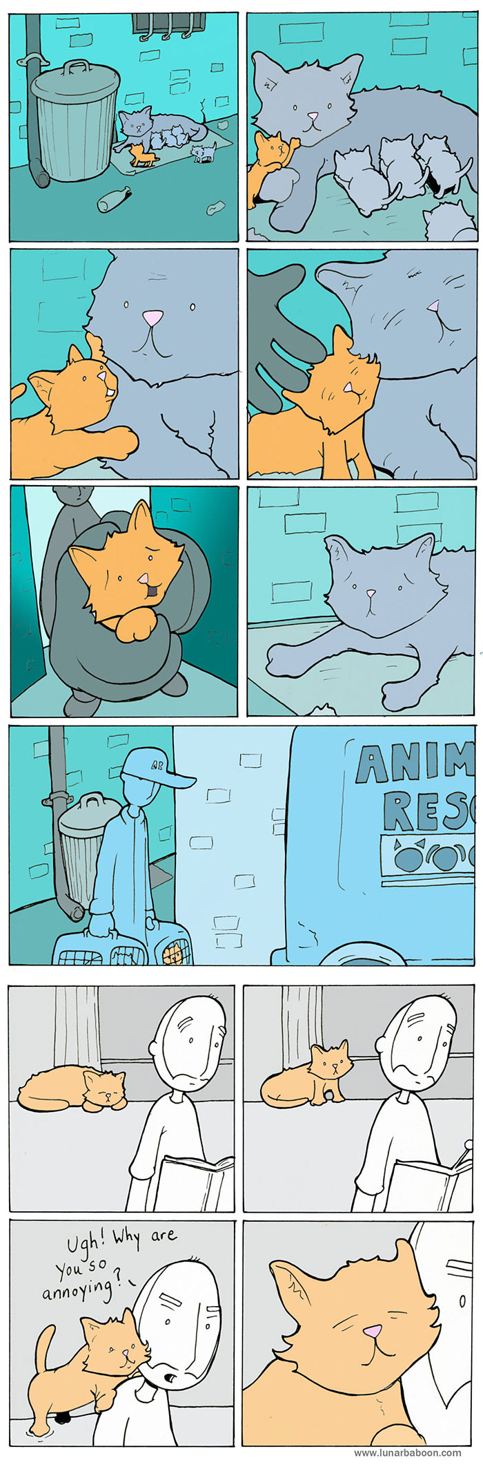 Life With Cats By Lunarbaboon (18 Comics)