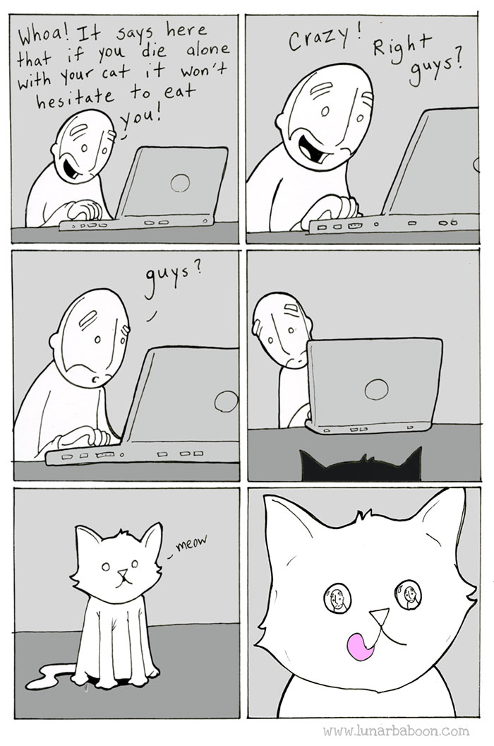 Life With Cats By Lunarbaboon (18 Comics)
