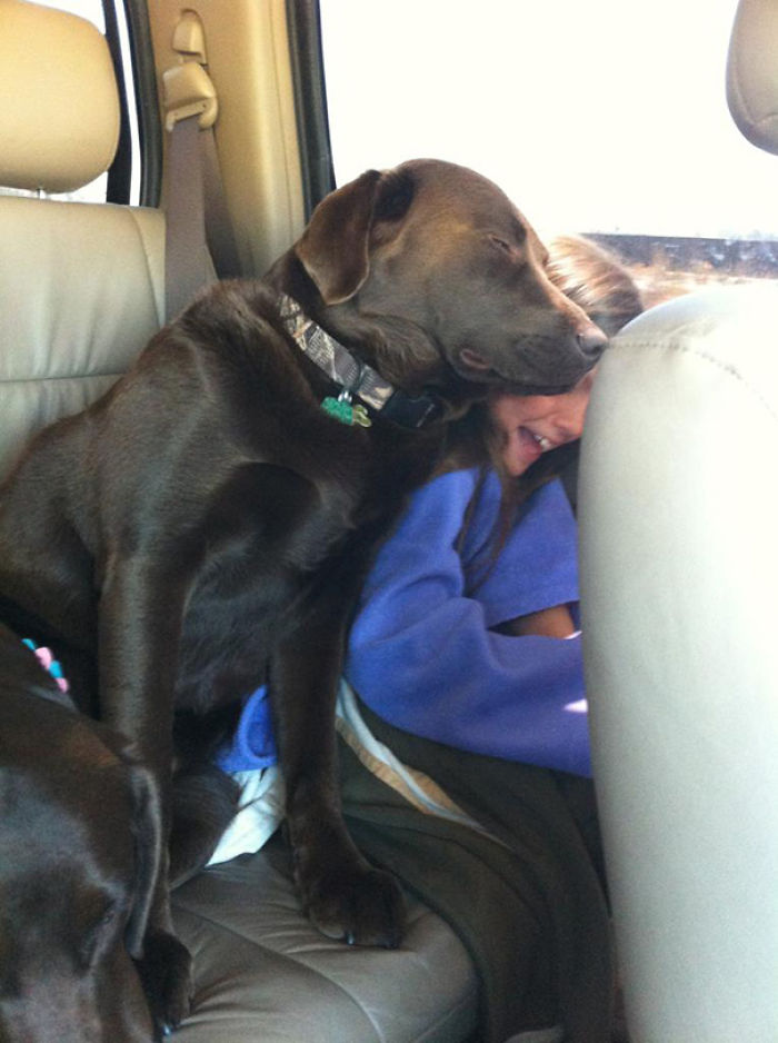 130 Asshole Dogs That Don&#8217;t Care About Personal Space