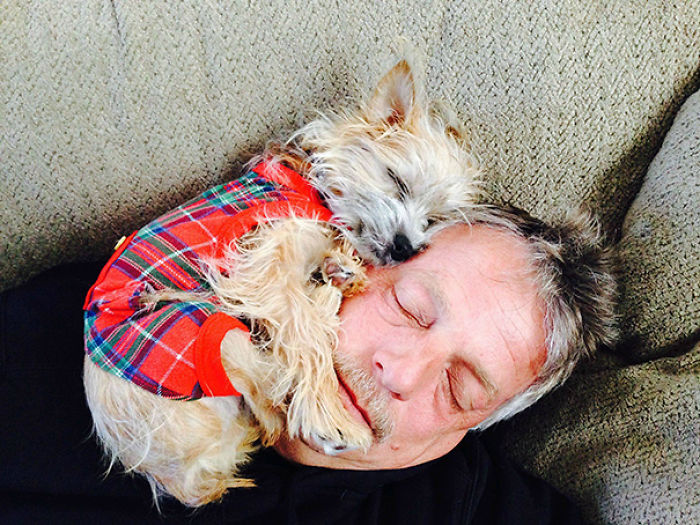 130 Asshole Dogs That Don&#8217;t Care About Personal Space