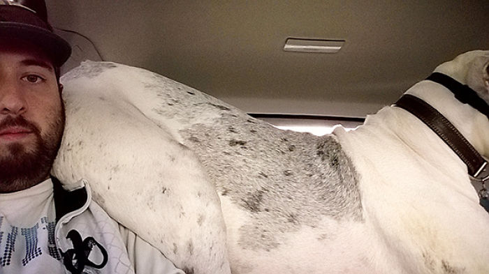 130 Asshole Dogs That Don&#8217;t Care About Personal Space