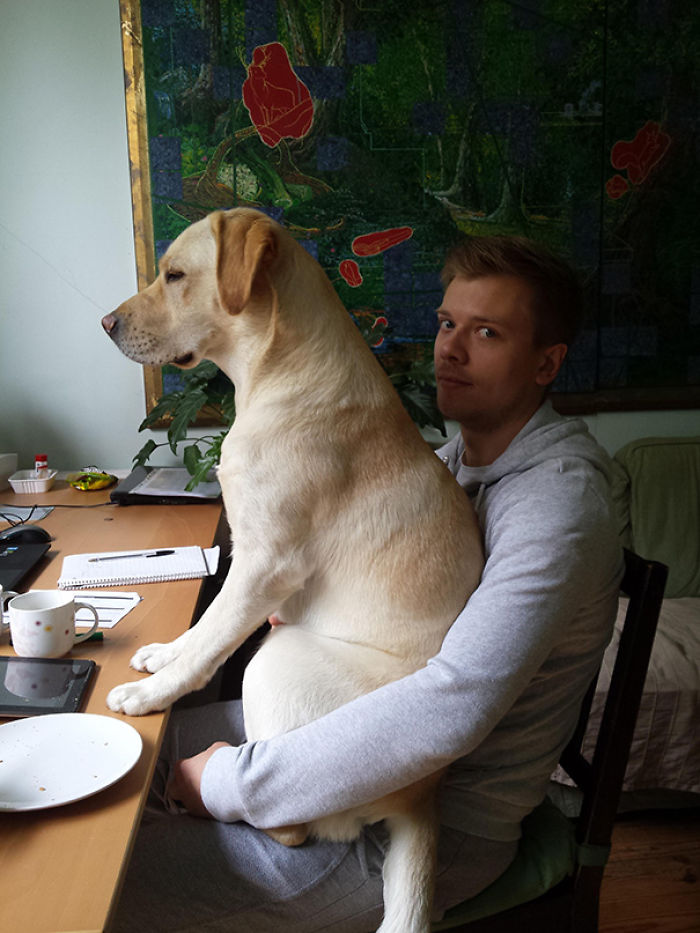 130 Asshole Dogs That Don&#8217;t Care About Personal Space
