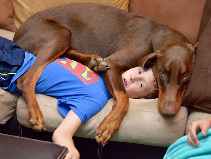 130 Asshole Dogs That Don&#8217;t Care About Personal Space