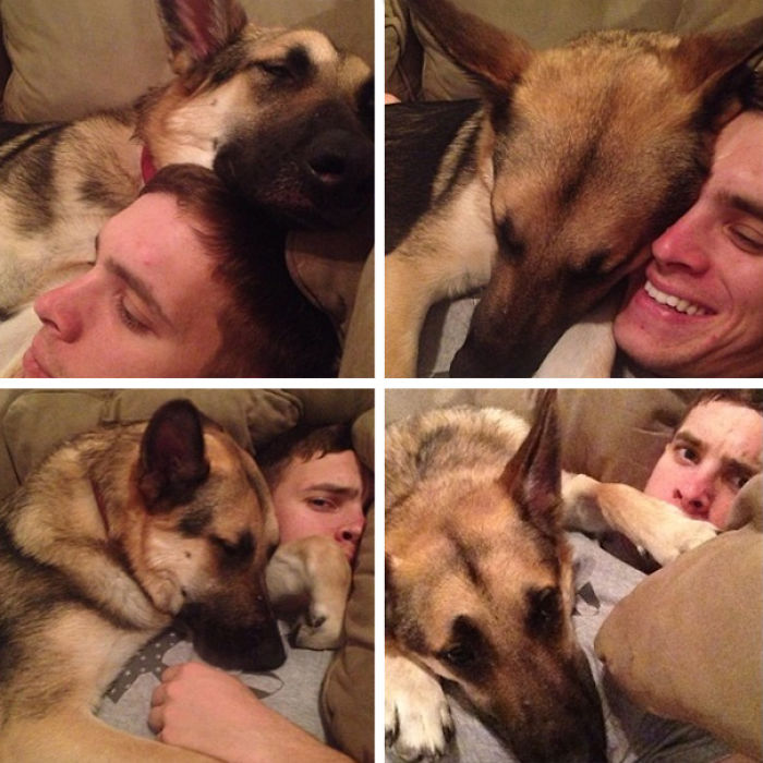 130 Asshole Dogs That Don&#8217;t Care About Personal Space