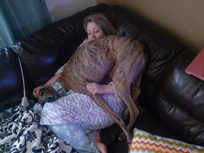 130 Asshole Dogs That Don&#8217;t Care About Personal Space