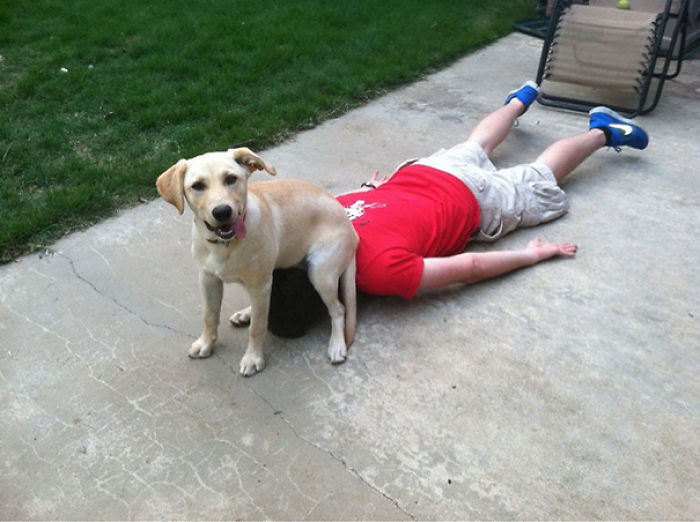 130 Asshole Dogs That Don&#8217;t Care About Personal Space