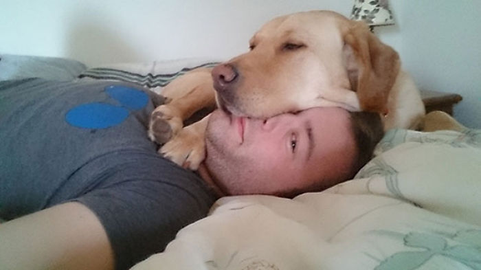 130 Asshole Dogs That Don&#8217;t Care About Personal Space