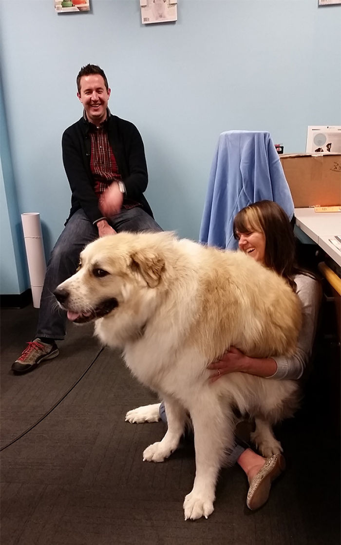 130 Asshole Dogs That Don&#8217;t Care About Personal Space