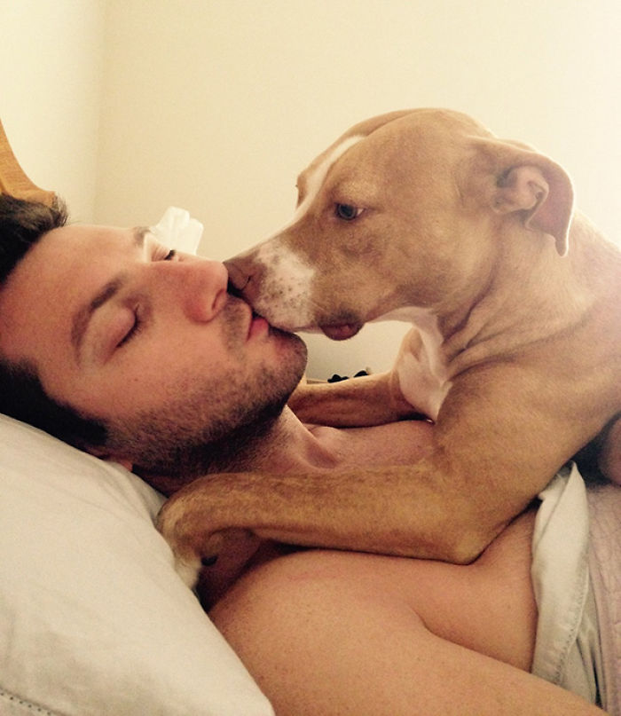 130 Asshole Dogs That Don&#8217;t Care About Personal Space