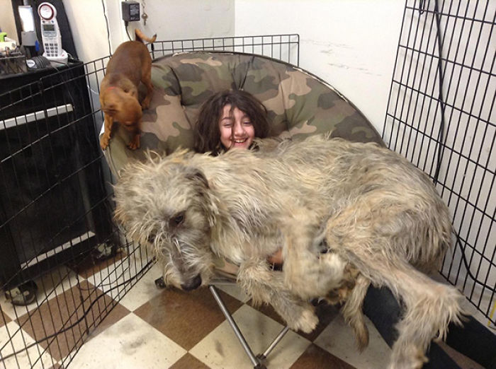 130 Asshole Dogs That Don&#8217;t Care About Personal Space