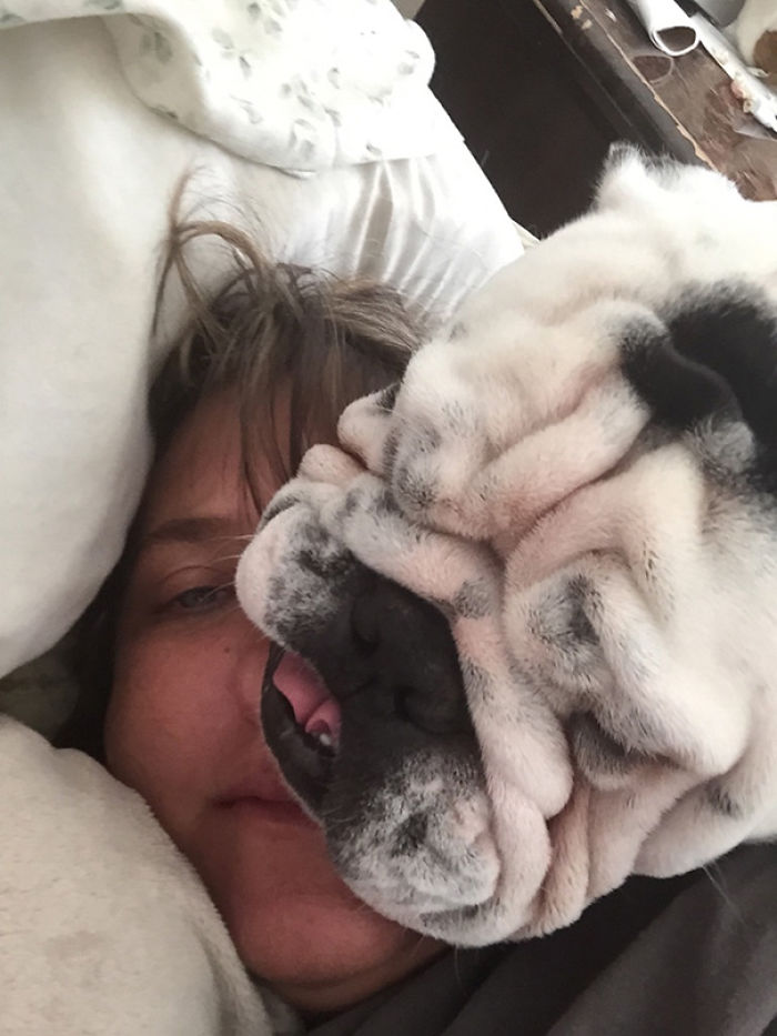 130 Asshole Dogs That Don&#8217;t Care About Personal Space
