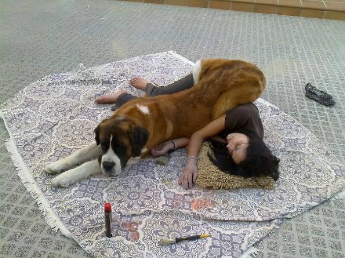 130 Asshole Dogs That Don&#8217;t Care About Personal Space