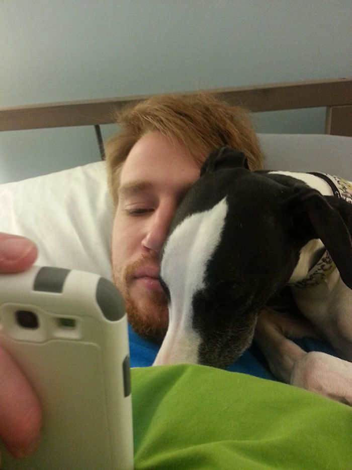 130 Asshole Dogs That Don&#8217;t Care About Personal Space