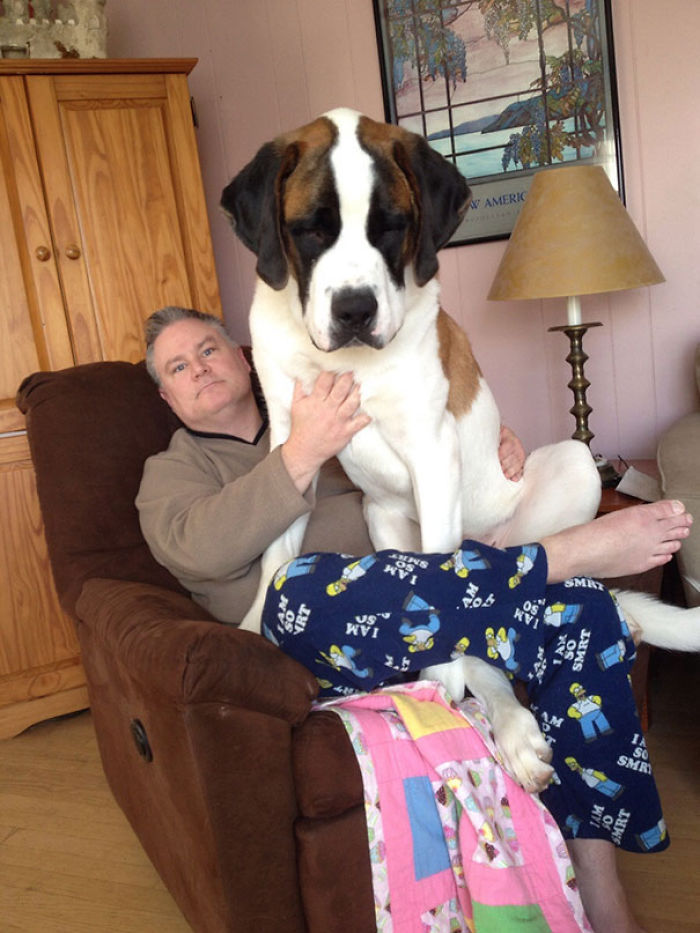 130 Asshole Dogs That Don&#8217;t Care About Personal Space