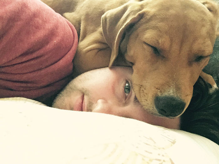 130 Asshole Dogs That Don&#8217;t Care About Personal Space