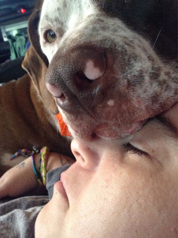 130 Asshole Dogs That Don&#8217;t Care About Personal Space