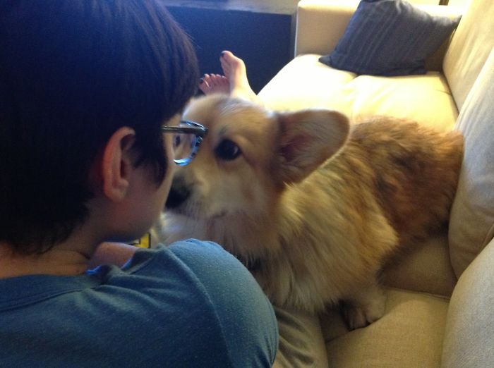 130 Asshole Dogs That Don&#8217;t Care About Personal Space