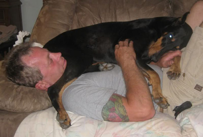 130 Asshole Dogs That Don&#8217;t Care About Personal Space