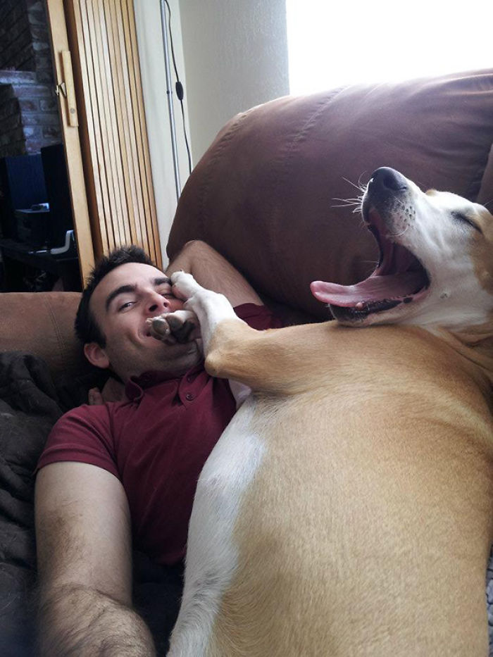 130 Asshole Dogs That Don&#8217;t Care About Personal Space
