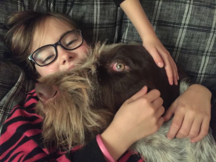 130 Asshole Dogs That Don&#8217;t Care About Personal Space