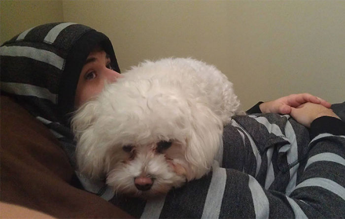 130 Asshole Dogs That Don&#8217;t Care About Personal Space