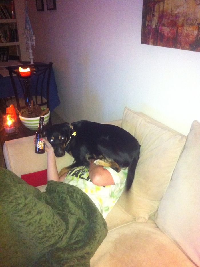 130 Asshole Dogs That Don&#8217;t Care About Personal Space