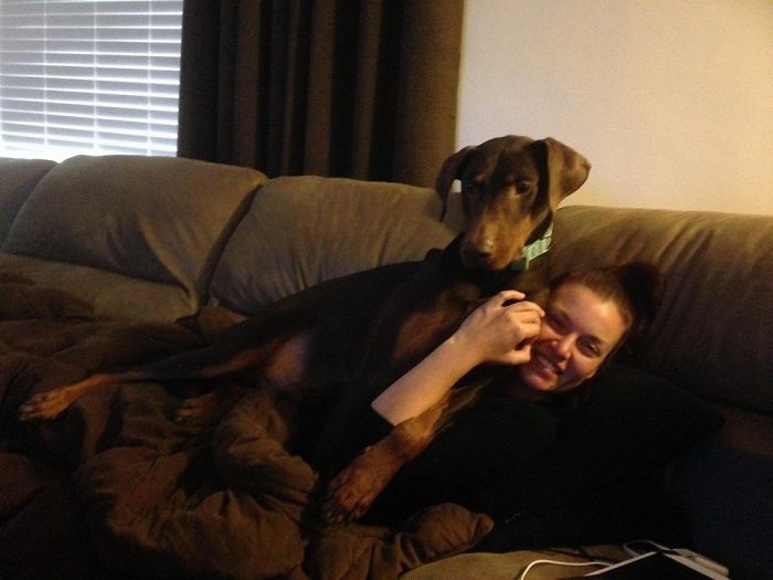 130 Asshole Dogs That Don&#8217;t Care About Personal Space