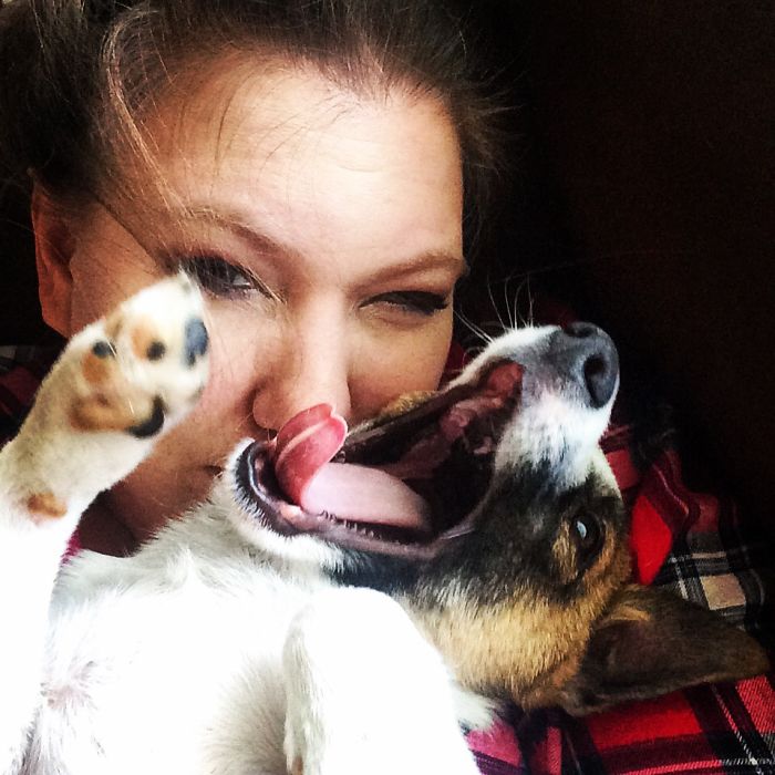 130 Asshole Dogs That Don&#8217;t Care About Personal Space