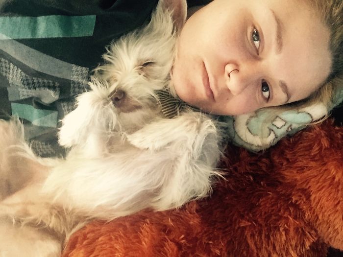 130 Asshole Dogs That Don&#8217;t Care About Personal Space