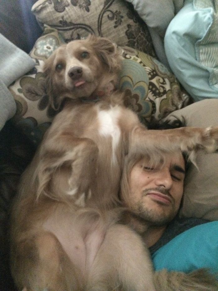 130 Asshole Dogs That Don&#8217;t Care About Personal Space