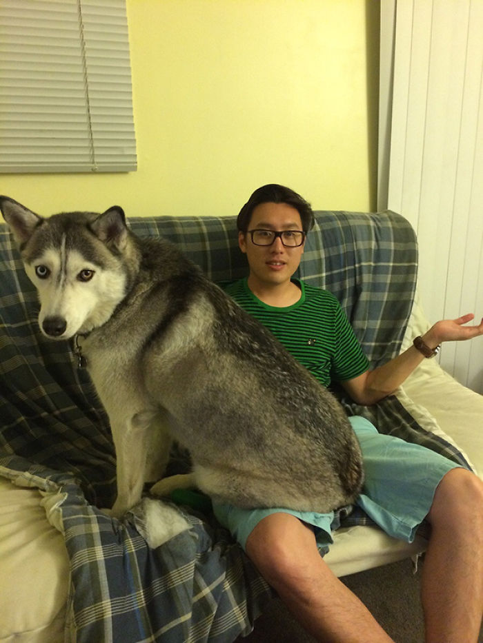 130 Asshole Dogs That Don&#8217;t Care About Personal Space