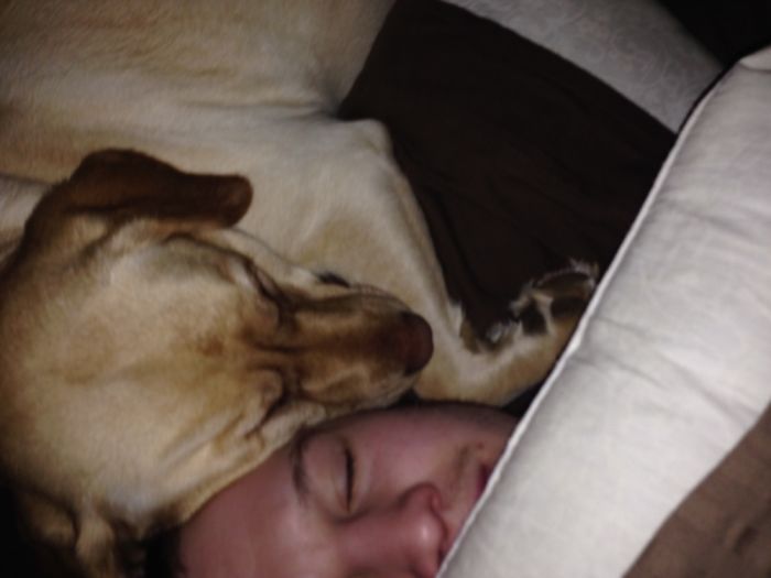 130 Asshole Dogs That Don&#8217;t Care About Personal Space