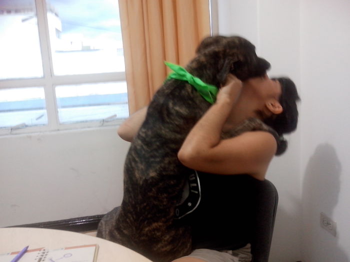 130 Asshole Dogs That Don&#8217;t Care About Personal Space
