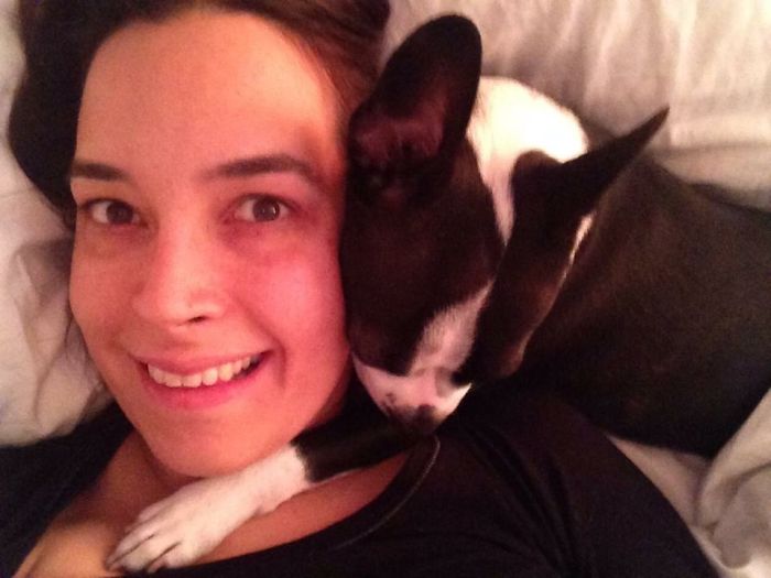 130 Asshole Dogs That Don&#8217;t Care About Personal Space