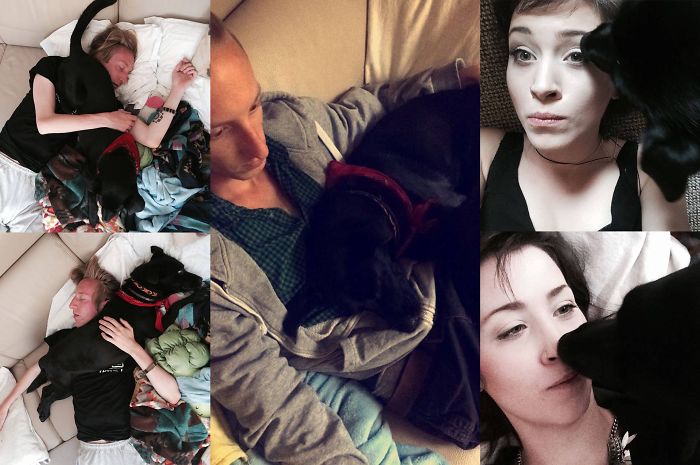 130 Asshole Dogs That Don&#8217;t Care About Personal Space