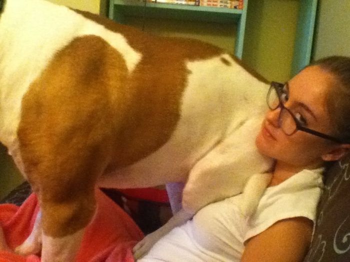130 Asshole Dogs That Don&#8217;t Care About Personal Space
