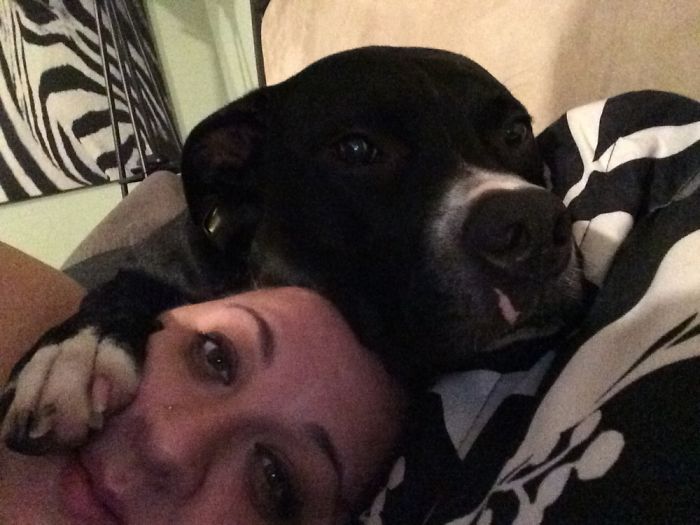 130 Asshole Dogs That Don&#8217;t Care About Personal Space