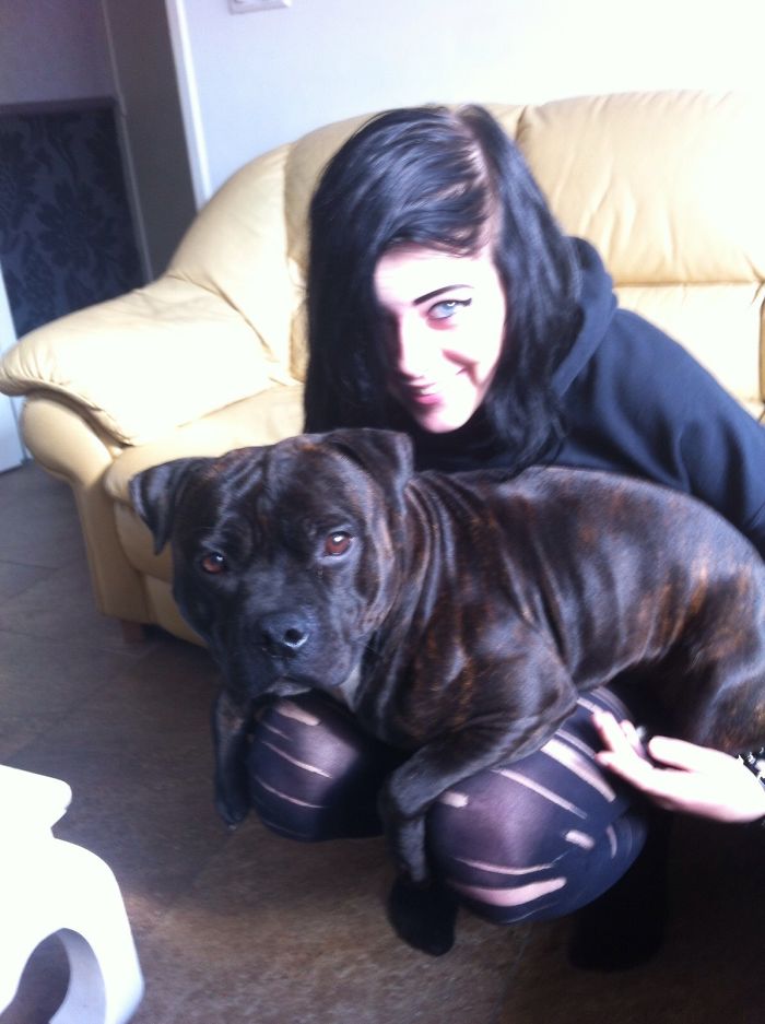 130 Asshole Dogs That Don&#8217;t Care About Personal Space