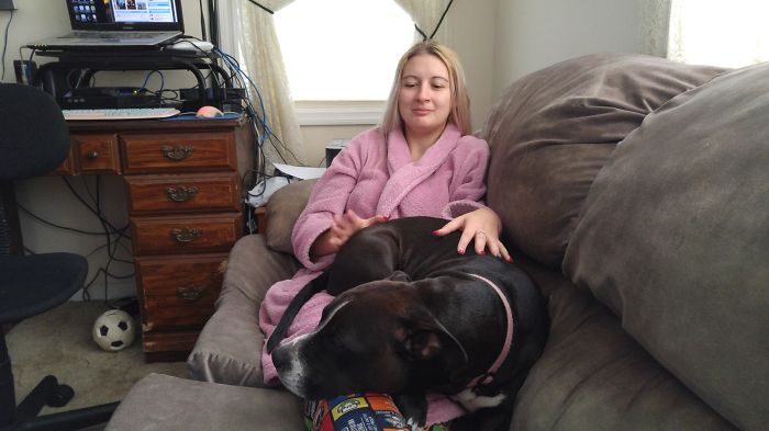 130 Asshole Dogs That Don&#8217;t Care About Personal Space